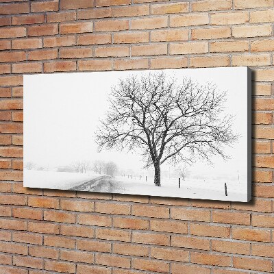 Bild auf leinwand Baum im Winter