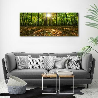 Bild auf leinwand Wald