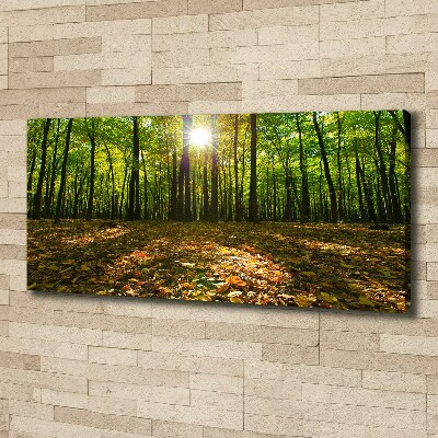 Bild auf leinwand Wald