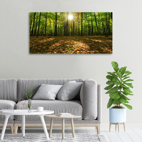 Bild auf leinwand Wald