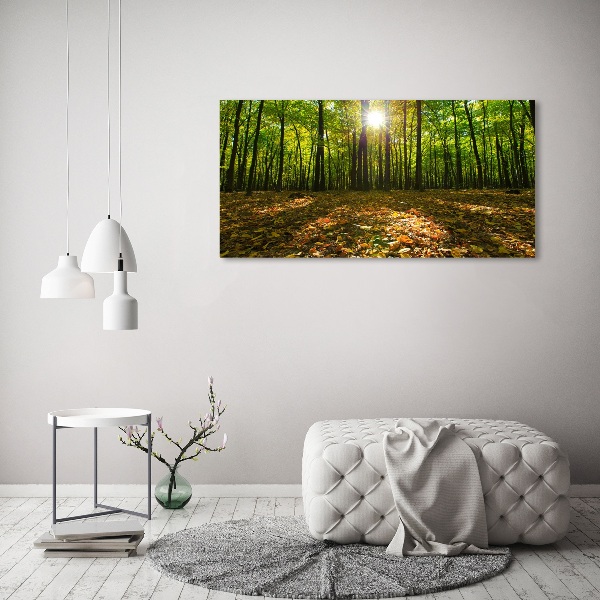 Bild auf leinwand Wald