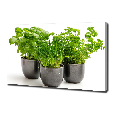 Wandbild Kräuter in Töpfen