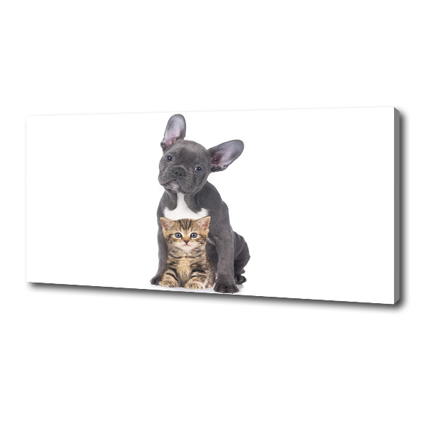 Wandbild Hund und Katze