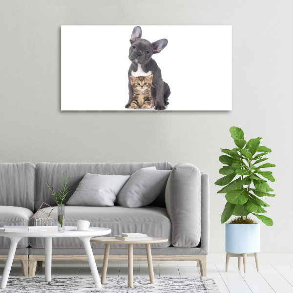Wandbild Hund und Katze