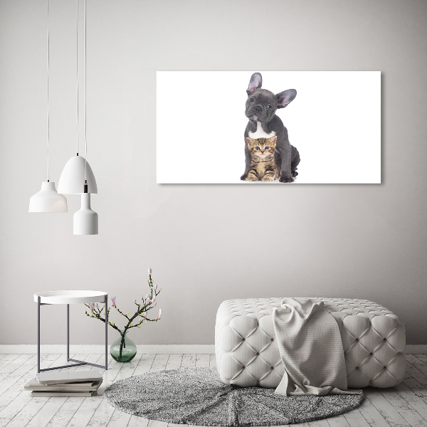 Wandbild Hund und Katze