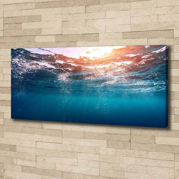 Bild auf leinwand Unterwasserwelt
