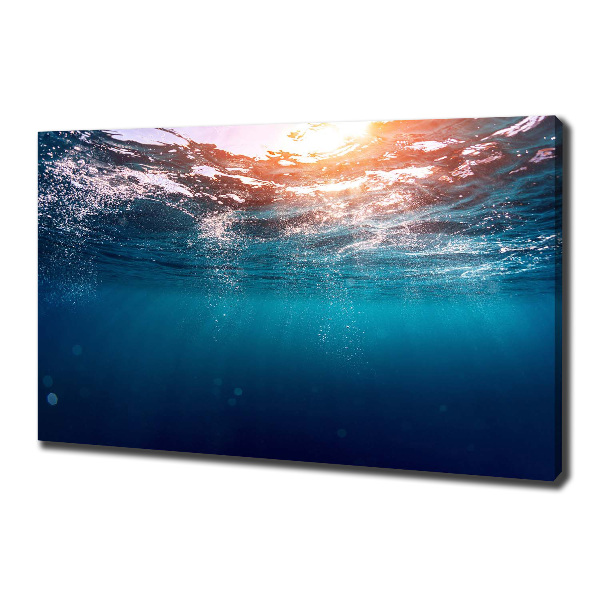 Bild auf leinwand Unterwasserwelt