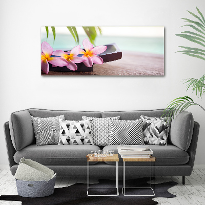 Fotobild Plumeria