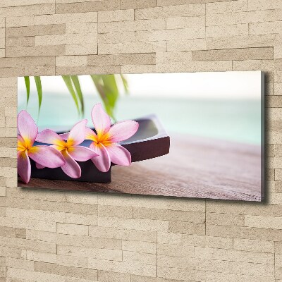 Fotobild Plumeria