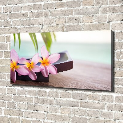 Fotobild Plumeria
