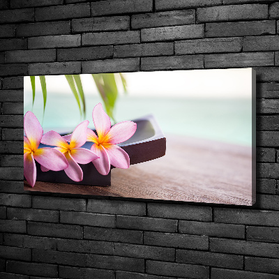 Fotobild Plumeria
