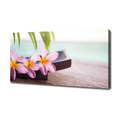 Fotobild Plumeria