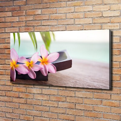 Fotobild Plumeria