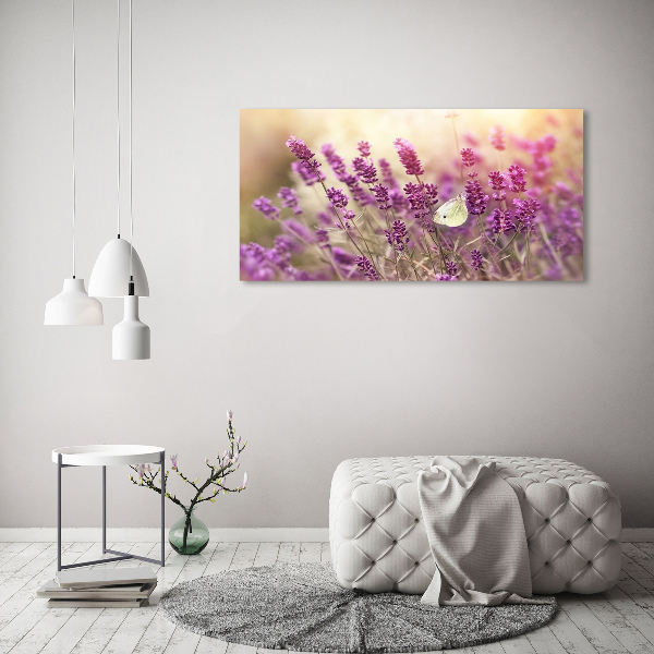 Bild auf leinwand Lavendel