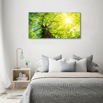 Bild auf leinwand Kastanie im Frühling