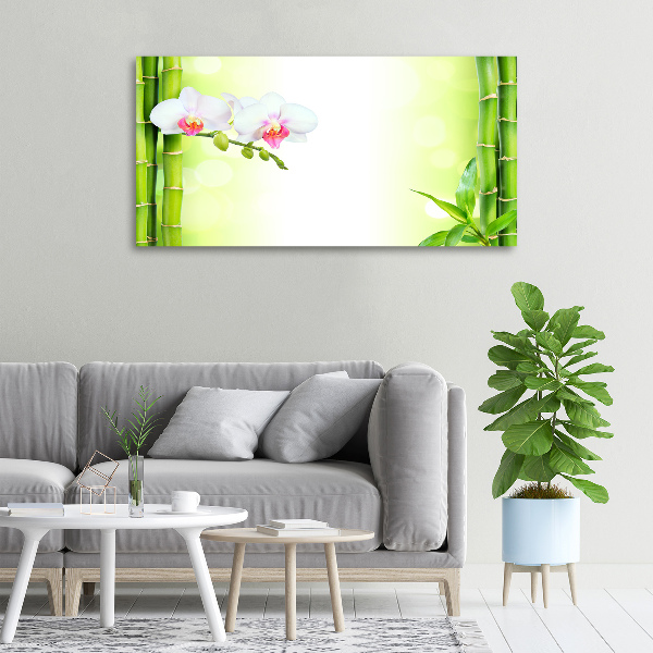 Bild auf leinwand Orchidee und Bambus