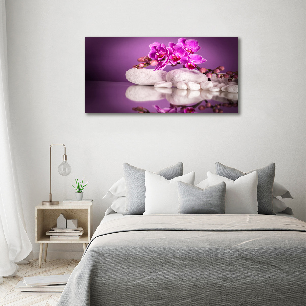 Fotobild Rosa Orchidee