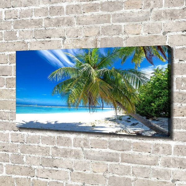 Bild auf leinwand Tropischer Strand