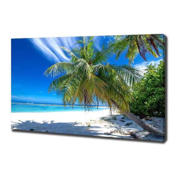 Bild auf leinwand Tropischer Strand
