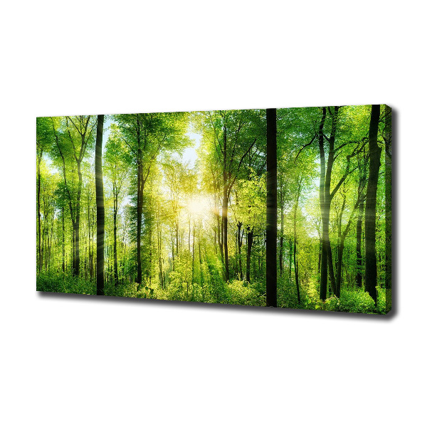 Bild auf leinwand Wald in der Sonne
