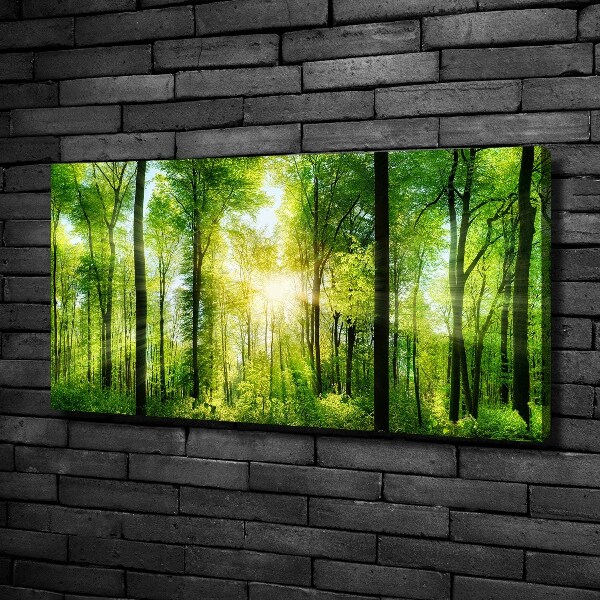 Bild auf leinwand Wald in der Sonne
