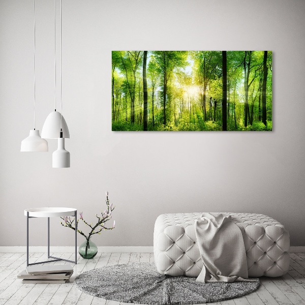 Bild auf leinwand Wald in der Sonne