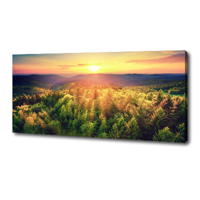 Wandbild Sonnenuntergang im Wald