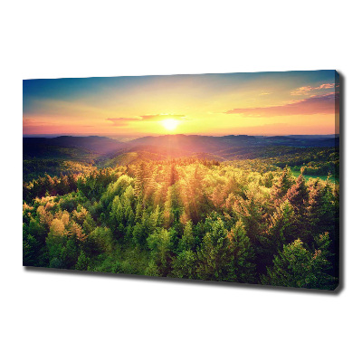 Wandbild Sonnenuntergang im Wald