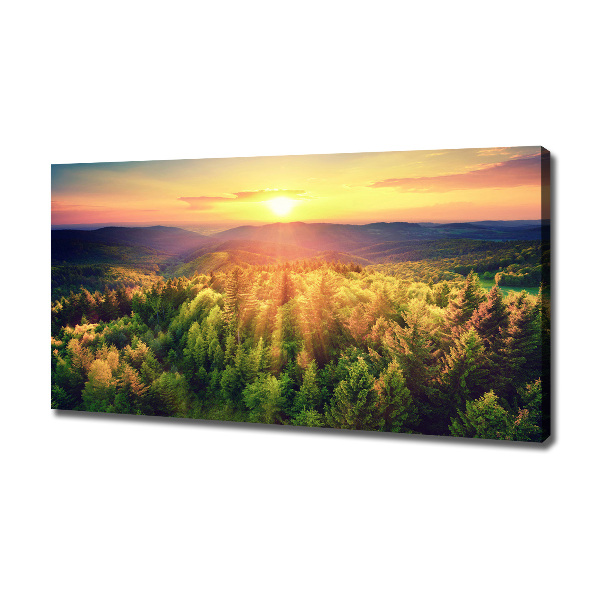 Wandbild Sonnenuntergang im Wald