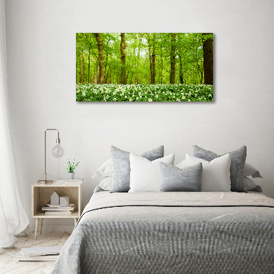 Fotobild Blumen im Wald