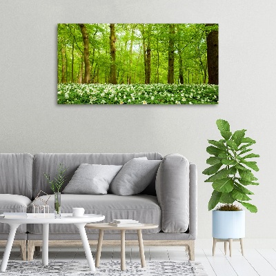 Fotobild Blumen im Wald
