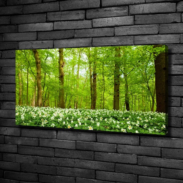 Fotobild Blumen im Wald