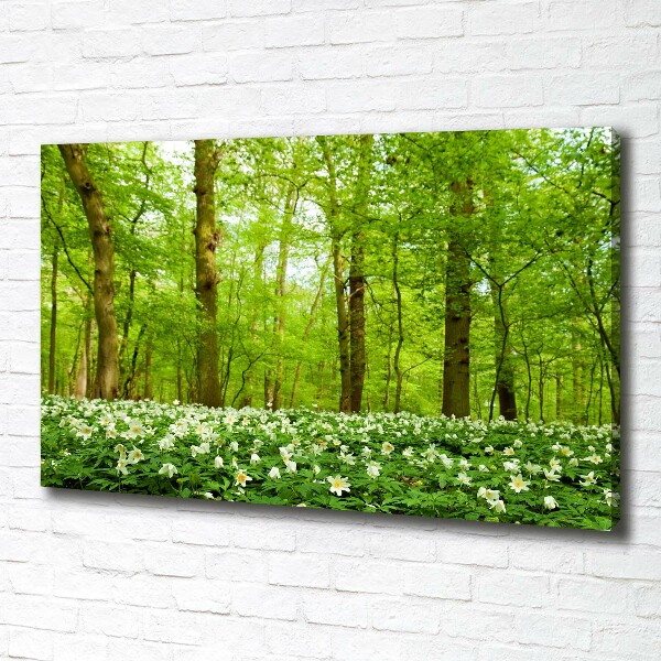 Fotobild Blumen im Wald
