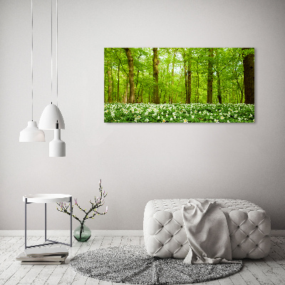 Fotobild Blumen im Wald