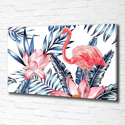 Fotobild Flamingos und Pflanzen