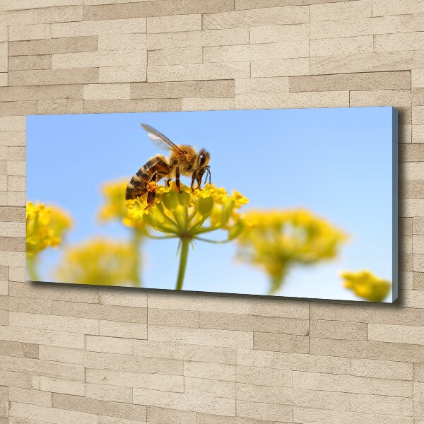 Bild auf leinwand Eine Biene auf einer Blume