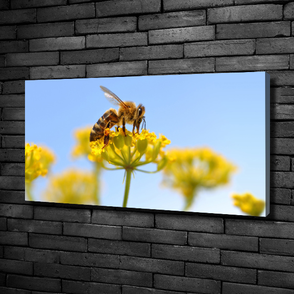 Bild auf leinwand Eine Biene auf einer Blume
