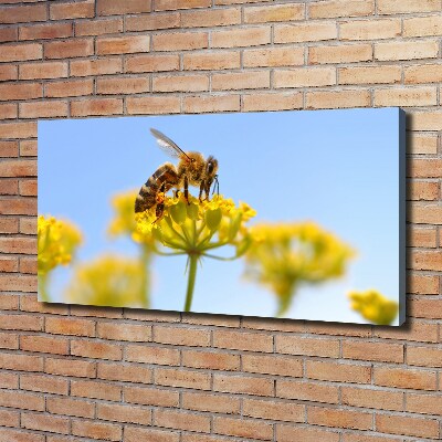 Bild auf leinwand Eine Biene auf einer Blume