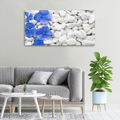 Wandbild Hortensie