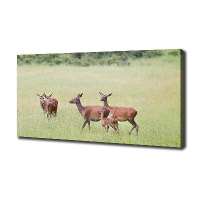 Wandbild Reh mit Jungtieren