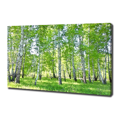 Bild auf leinwand Birken