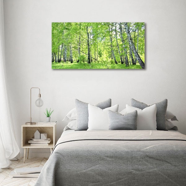 Wandbild Birkenwald