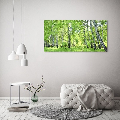 Wandbild Birkenwald