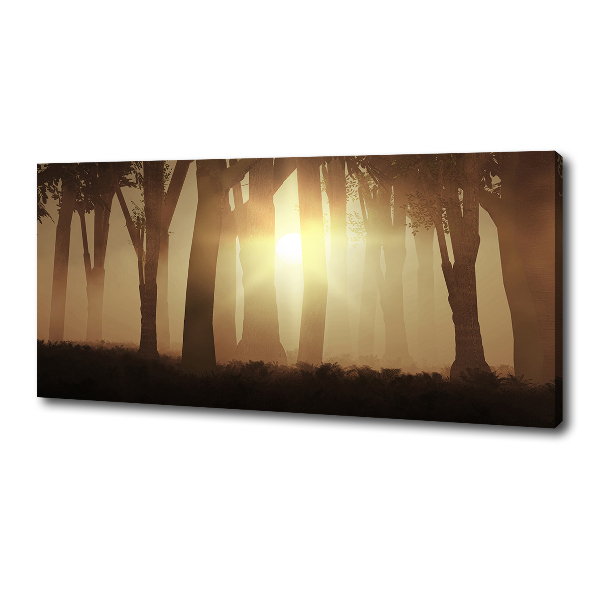 Wandbild Nebel im Wald
