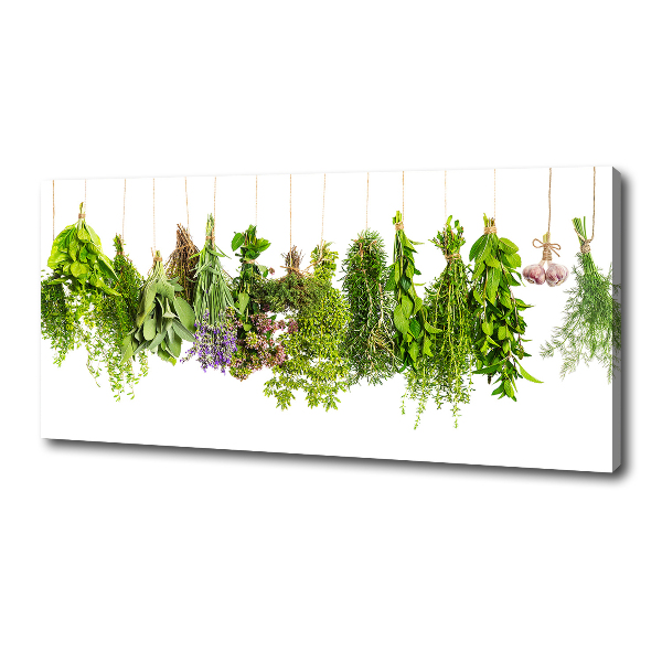 Wandbild Kräuter an einer Schnur