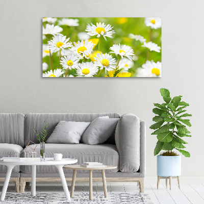 Wandbild Gänseblümchen