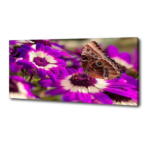 Bild auf leinwand Schmetterling auf einer Blume