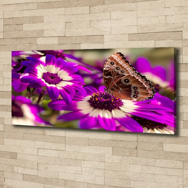 Bild auf leinwand Schmetterling auf einer Blume