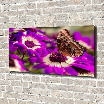 Bild auf leinwand Schmetterling auf einer Blume