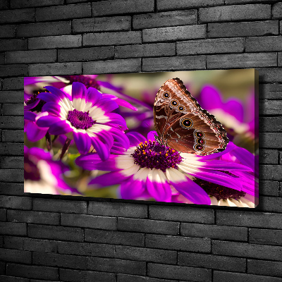 Bild auf leinwand Schmetterling auf einer Blume
